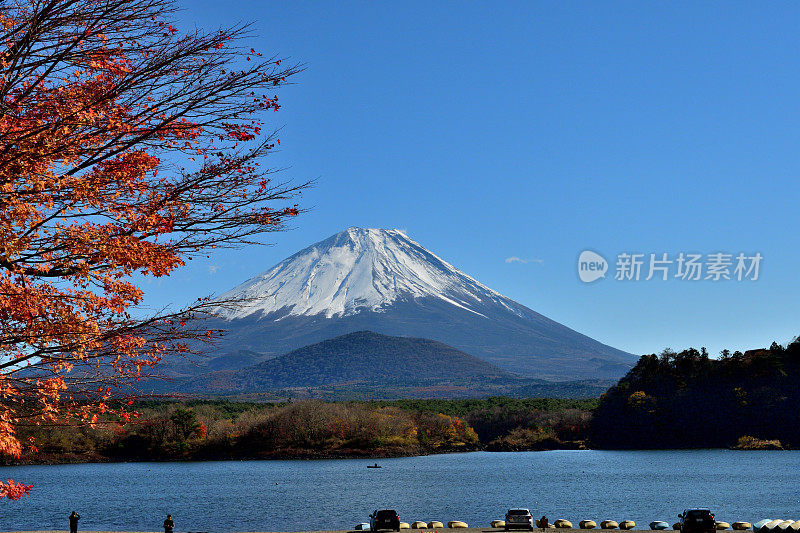 富士山和日本富士五湖地区的秋叶:Shojiko湖/ Shoji湖